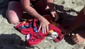 Sauvetage d'une mouette par des touristes sur la plage, prisonnière d'une ligne de pêche