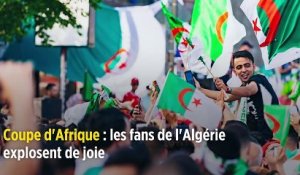 Coupe d'Afrique : les fans de l'Algérie explosent de joie