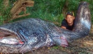 Un pêcheur a sorti un véritable monstre de l'eau : un silure de 2,58 mètres