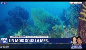 Ce plongeur explore depuis 18 jours les fonds de la Méditerranée à bord d'une capsule, il nous livre un premier bilan