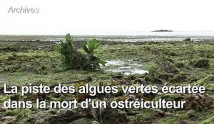 Algues vertes: les autorités du Finistère veulent rassurer