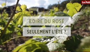 LES TUTOS VINS - Vin rosé : pourquoi seulement l'été ?