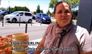 Valence : l’arboricultrice touchée par la grêle vend ses fruits en direct de Décathlon