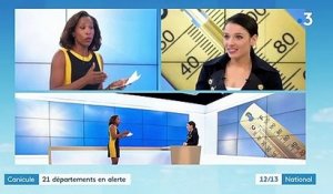 Canicule : 21 départements français en alerte