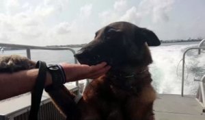 Une Banderole Dan Le Ciel De Valras Plage Au Grau Du Roi