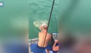 Un Bebe Chevre Survolte Eclate Ses Potes Et Saute Partout Sur Orange Videos