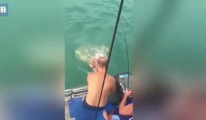 Cet australien saute sur un requin pour faire du rodéo sur l'animal