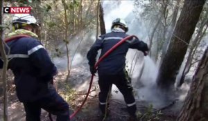 Incendie dans le Gard : 488 ha parcourus, le feu ne se propage plus