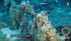 Mer Méditerranée : chasse aux filets de pêches abandonnés