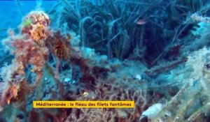 Méditerranée : un filet fantôme retiré par 30 mètres de fond au large de Nice