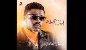 Ariel Sheney - Amina (Ghenda Remix) (Audio)
