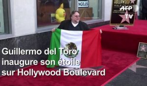 Guillermo del Toro reçoit une étoile sur Hollywood Boulevard