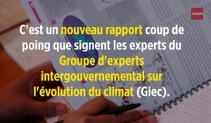 Climat : les experts du GIEC alertent sur l'épuisement des terres