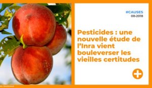 Pesticides : une nouvelle étude de l’Inra vient bouleverser les vieilles certitudes