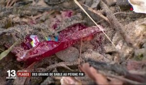 Plages non-fumeurs, ramassage des déchets à la main... la Charente-Maritime préserve son littoral
