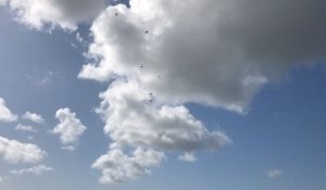 Le saut en parachute de l’Armee de l’air s’achève sur le sable parmi le public