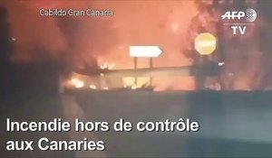 "Drame environnemental" à Grande Canarie, ravagée par le feu