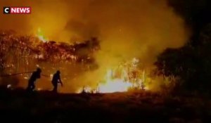 Espagne : un violent incendie ravage l'île de Grande Canarie