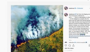 Incendie en Amazonie : les photos qui circulent sont-elles fausses ?