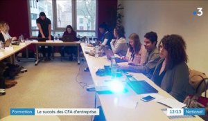 Formation : le succès des CFA d'entreprise