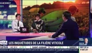 Les inquiétudes de la filière viticole - 04/02