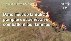 Bolivie: bénévoles et pompiers combattant les feux