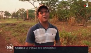 Amazonie : la déforestation, une pratique favorisée par le gouvernement brésilien