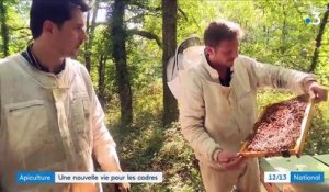 Gers : quand deux cadres parisiens plaquent tout pour devenir apiculteurs