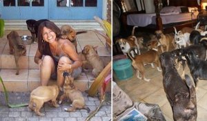 Cette femme a sauvé 97 chiens errants pendant le passage meurtrier de l'ouragan Dorian, aux Bahamas