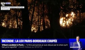 Un incendie de forêt en Charente-Maritime provoque le déroutement de la LGV Paris-Bordeaux