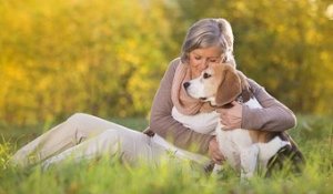 Les races de chien qui peuvent nous aider à surmonter un stress post-traumatique
