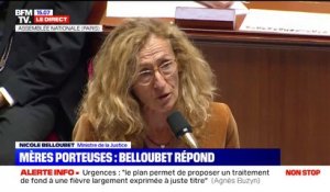 Nicole Belloubet: "Le gouvernement n'entend nullement modifier la situation juridique des enfants nés par GPA"
