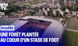 Un stade de football en Autriche se transforme en mini-forêt 