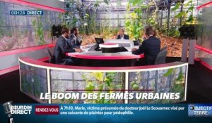 Objectif Terre : Les boom des fermes urbaines - 12/09