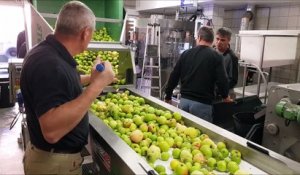 DNA - L'atelier de jus de fruits de Rossfeld (Alsace)