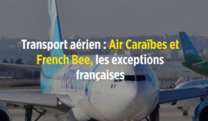 Transport aérien : Air Caraïbes et French Bee, les exceptions françaises