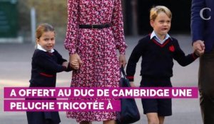 PHOTOS. La princesse Charlotte gâtée : ce cadeau que le prince William lui a ramené de sa dernière visite officielle