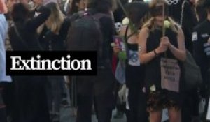 Des militants écologistes marquent la fin de la Fashion Week de Londres avec une marche funèbre
