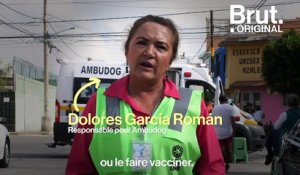 Au Mexique, elle offre des soins aux chiens errants depuis son ambulance "Ambudog"