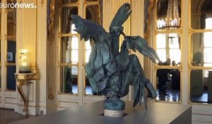 Le coq de Notre-Dame exposé pour les Journées européennes du patrimoine