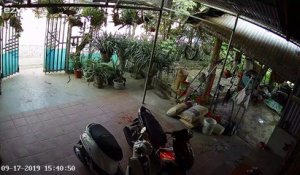 Une femme découvre un serpent devant chez elle au Vietnam
