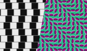 Quelques illusions d'optique qui vont vous retourner le cerveau
