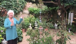 Entre cours et jardins: Aileen Sharpe ouvre pour la 3e fois son jardin historique