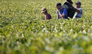Trafic d'êtres humains : le Beaujolais secoué par une vaste enquête