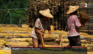 Chine : sur la route de la production d'encens