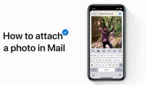 How to attach a photo in Mail in iOS 13 on your iPhone, iPad, or iPod touch – Apple Support
