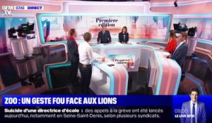 Zoo: un geste fou face au lion - 03/10