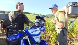 Face aux voleurs de raisin, la gendarmerie patrouille dans les vignes de Bourgogne