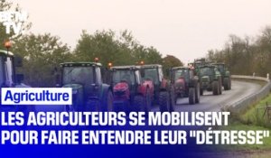 Les agriculteurs se mobilisent pour faire entendre leur "détresse"