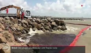 Brésil : plus d'une centaine de plages souillées par une marée noire